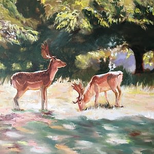 Deer at Charlecote Park